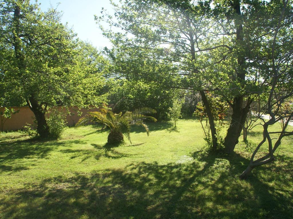 Exquisite Apartment In Cervionewith Swimming Pool San-Nicolao Eksteriør billede